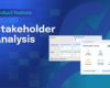 Stakeholder analysis
